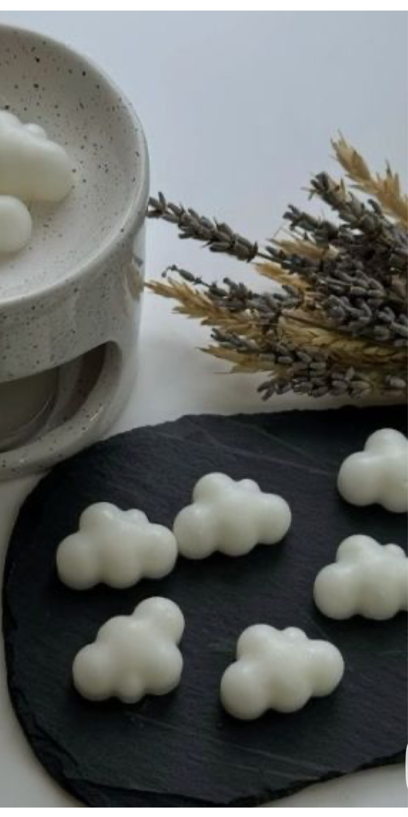 Wax melts