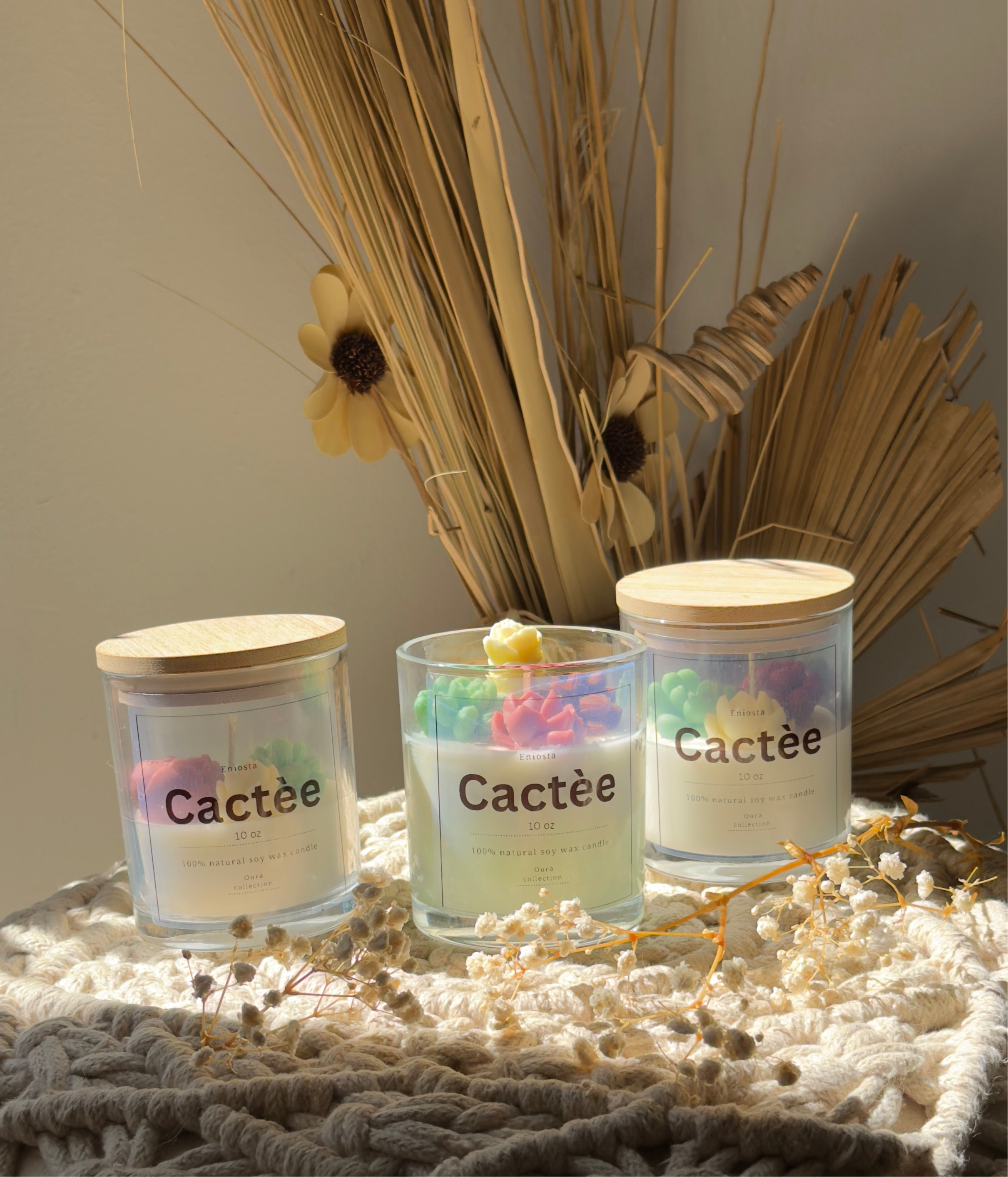 Cactee